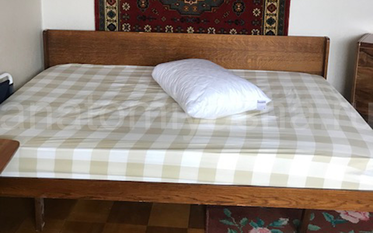 отзыв о Матрас DreamLine DreamRoll Latex фото 2